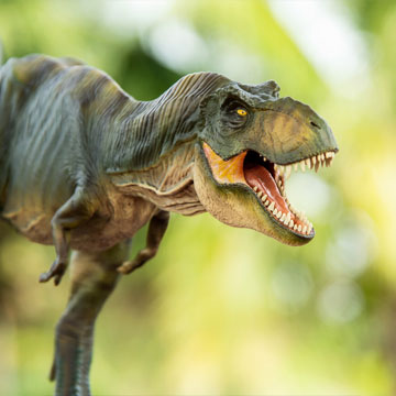 Dinosaur