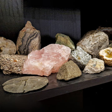 FossilGemstoneDisplay